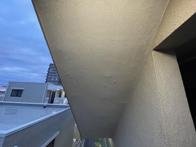 image1_2.jpeg